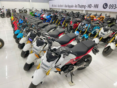 Đại Lý Bán Xe Honda MSX 125 Thái Lan, Siêu Tiết Kiệm Xăng
