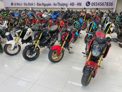 Đại Lý Bán Xe Honda MSX 125 Thái Lan, Siêu Tiết Kiệm Xăng